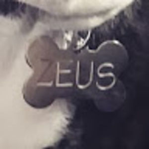 Meet your Posher, Gavin